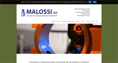 Desktop Screenshot of malossi.it